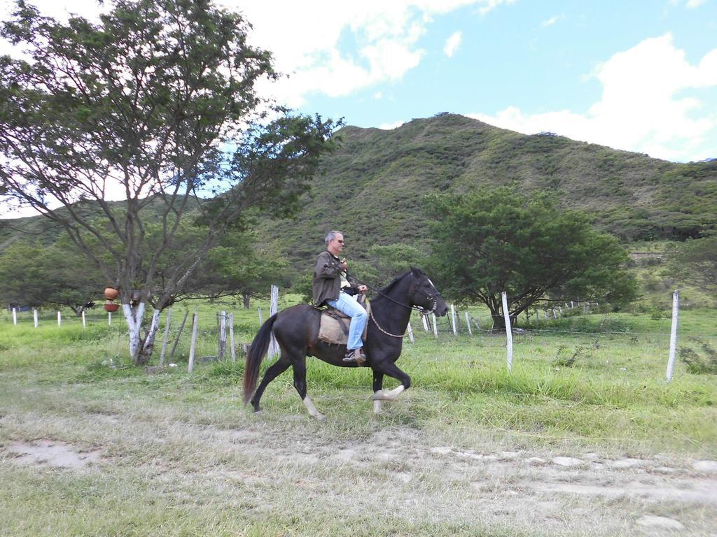 Villa Beatriz Lodge Vilcabamba Bagian luar foto